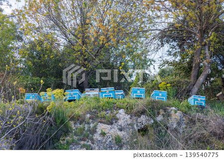 Row of blue wooden beehives arranged on a grassy rocky hillside Row of blue wooden beehives arranged on a grassy rocky hillside 139540775