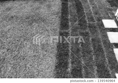 花園左側是老草，右側是新草和表土—一個「黑白」花園。 139540964