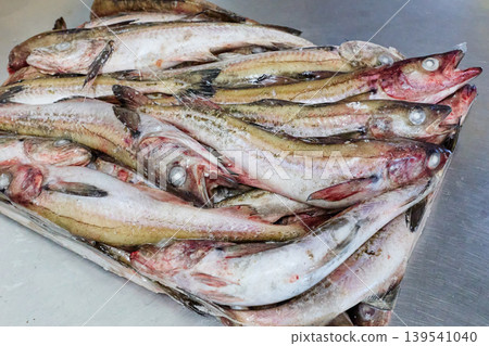 Frozen Alaska pollock Frozen Alaska pollock 139541040