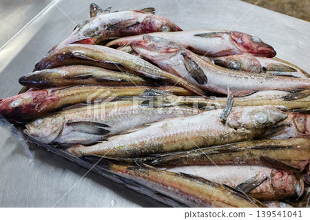 Frozen Alaska pollock Frozen Alaska pollock 139541041