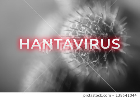 Hantavirus medical concept with virus cell structure and text overlay. Abstract illustration of viral infection, epidemiology, and healthcare warning. Monochrome microscopic view of pathogen Hantavirus medical concept with virus cell structure and text overlay. Abstract illustration of viral infection, epidemiology, and healthcare warning. Monochrome microscopic view of pathogen 139541044