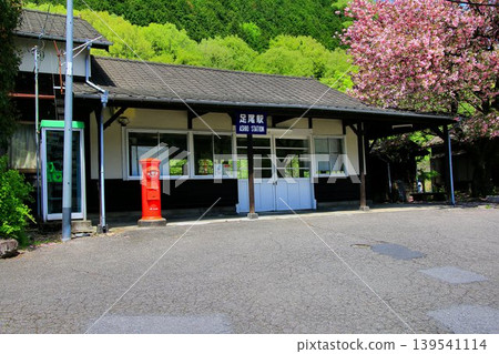 The mountains are covered in fresh green leaves in early summer... Watarase Keikoku Railway [Ashio Station] 139541114