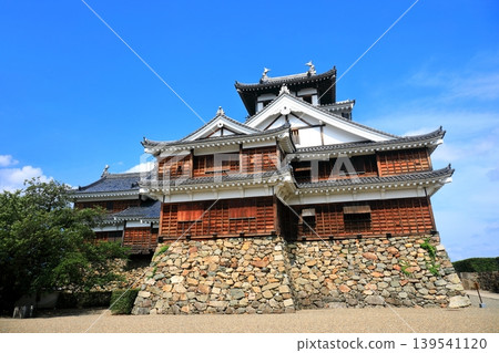 [京都府]晴天的福知山城 139541120