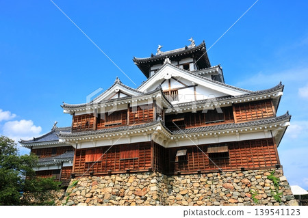 [京都府]晴天的福知山城 139541123