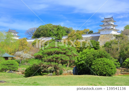 【兵庫縣】明石城(紺櫓櫓和辰巳櫓)櫻花盛開。 【兵庫縣】明石城(紺櫓櫓和辰巳櫓)櫻花盛開。 139541136