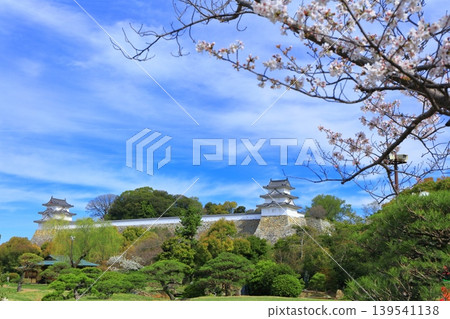 [Hyogo Prefecture] Akashi Castle (Kon-yagura and Tatsumi-yagura) with cherry blossoms in full bloom. 139541138