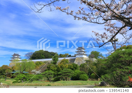 【兵庫縣】明石城(紺櫓櫓和辰巳櫓)櫻花盛開。 【兵庫縣】明石城(紺櫓櫓和辰巳櫓)櫻花盛開。 139541140