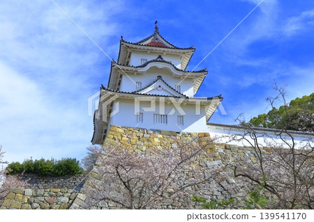 [Hyogo Prefecture] Akashi Castle (Kon-yagura Tower) with cherry blossoms in full bloom. 139541170