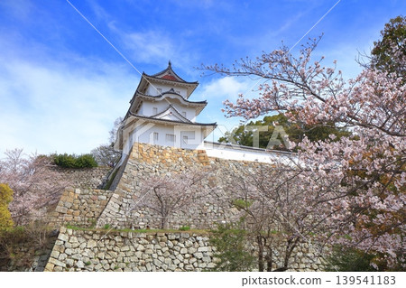 【兵庫縣】明石城（紺橋塔）櫻花盛開。 139541183