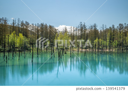 美瑛町,初夏的藍池 美瑛町,初夏的藍池 139541379