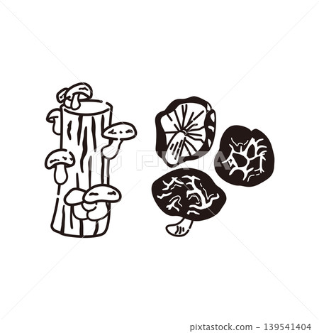 乾香菇插圖(線描) 乾香菇插圖(線描) 139541404