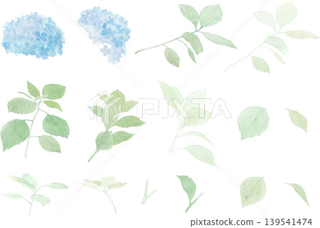 水彩繡球花向量素材 水彩繡球花向量素材 139541474