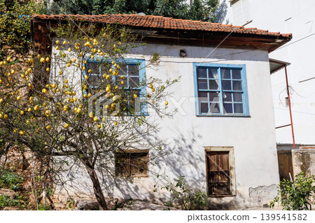 Traditional house with a lemon tree in the yard Traditional house with a lemon tree in the yard 139541582