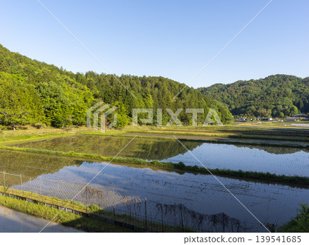Rural landscape with seedlings planted in Nantan City, Kyoto Prefecture Rural landscape with seedlings planted in Nantan City, Kyoto Prefecture 139541685