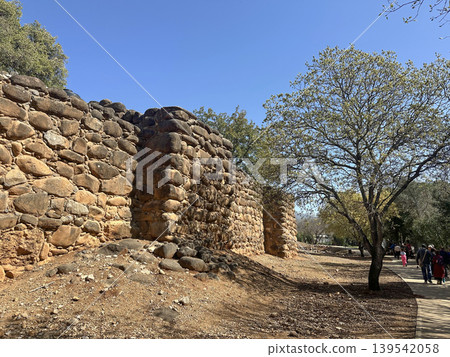 The ruins of the Canaanite city of Laish in the Tel Dan nature reserve The ruins of the Canaanite city of Laish in the Tel Dan nature reserve 139542058