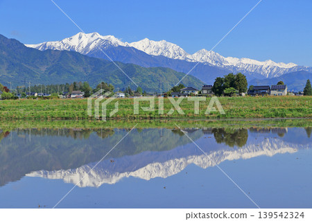 五月在安曇野鄉村和北阿爾卑斯山 139542324