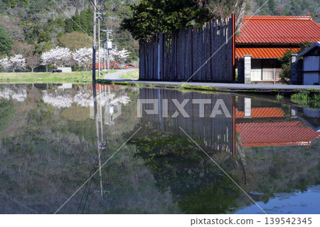 Rice fields waiting for rice planting Rice fields waiting for rice planting 139542345