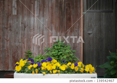 Old house gate and potted plants Old house gate and potted plants 139542467
