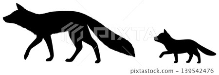 A mother and cub of red foxes A mother and cub of red foxes 139542476