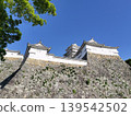 The castle tower shines against the blue spring sky 139542502