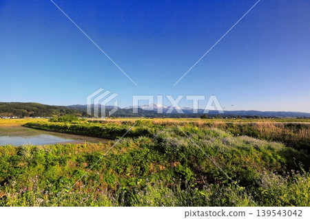 Rice paddy scenery in the Shonai Plain in May Rice paddy scenery in the Shonai Plain in May 139543042