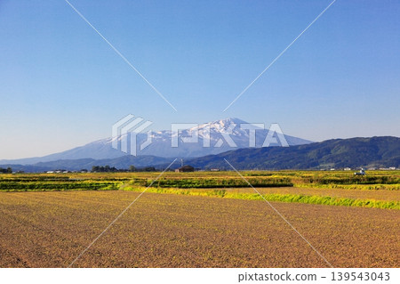 Rice paddy scenery in the Shonai Plain in May Rice paddy scenery in the Shonai Plain in May 139543043