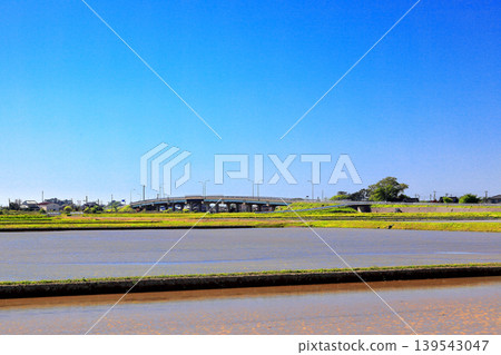 Rice paddy scenery in the Shonai Plain in May Rice paddy scenery in the Shonai Plain in May 139543047