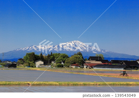 Rice paddy scenery in the Shonai Plain in May 139543049