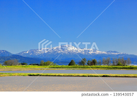 Rice paddy scenery in the Shonai Plain in May Rice paddy scenery in the Shonai Plain in May 139543057