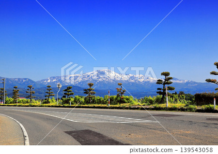 Rice paddy scenery in the Shonai Plain in May 139543058