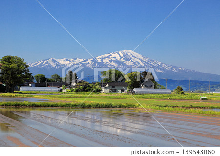 Rice paddy scenery in the Shonai Plain in May Rice paddy scenery in the Shonai Plain in May 139543060
