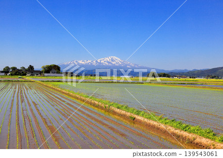 Rice paddy scenery in the Shonai Plain in May Rice paddy scenery in the Shonai Plain in May 139543061