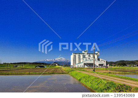 Rice paddy scenery in the Shonai Plain in May 139543069