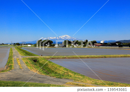 Rice paddy scenery in the Shonai Plain in May Rice paddy scenery in the Shonai Plain in May 139543081