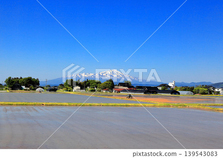 Rice paddy scenery in the Shonai Plain in May 139543083