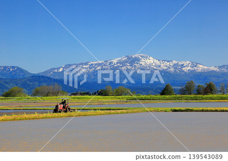 Rice paddy scenery in the Shonai Plain in May Rice paddy scenery in the Shonai Plain in May 139543089