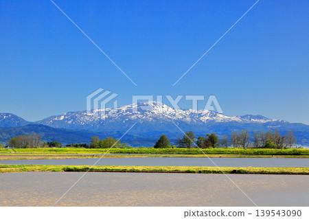Rice paddy scenery in the Shonai Plain in May Rice paddy scenery in the Shonai Plain in May 139543090