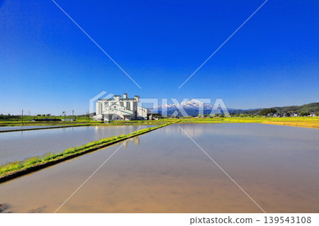 Rice paddy scenery in the Shonai Plain in May Rice paddy scenery in the Shonai Plain in May 139543108