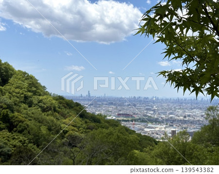 鮮嫩翠綠的楓葉和城市景觀,白天的街景,時光的流逝。 鮮嫩翠綠的楓葉和城市景觀,白天的街景,時光的流逝。 139543382