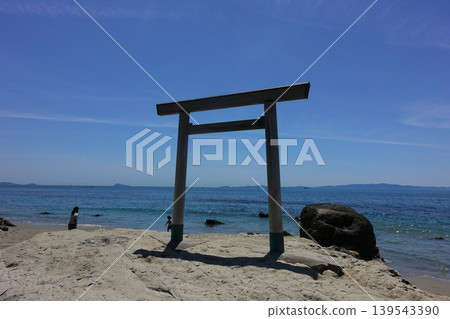 南知多町:津布特浦與櫻花公園 南知多町:津布特浦與櫻花公園 139543390