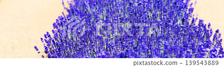 Lavender fields are an image of the refreshing summer around Furano, Hokkaido. Lavender fields are an image of the refreshing summer around Furano, Hokkaido. 139543889