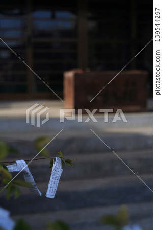 Shrine grounds and fortune slips Shrine grounds and fortune slips 139544297