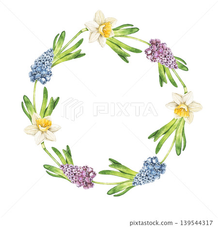 Watercolor round wreath with muscari, hyacinth and daffodil flowers in elegant spring composition. Botanical illustration for greeting cards, invitations and seasonal stationery. 139544317