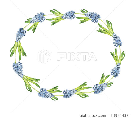 Watercolor oval wreath with blue muscari hyacinth flowers and green leaves arranged in elegant spring composition. Botanical illustration for invitations, greeting cards and seasonal stationery. Watercolor oval wreath with blue muscari hyacinth flowers and green leaves arranged in elegant spring composition. Botanical illustration for invitations, greeting cards and seasonal stationery. 139544321