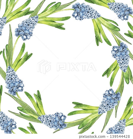 Watercolor floral wreath frame with muscari hyacinth flowers arranged in round composition. Botanical illustration with empty center space for invitations, greeting cards and seasonal branding. Watercolor floral wreath frame with muscari hyacinth flowers arranged in round composition. Botanical illustration with empty center space for invitations, greeting cards and seasonal branding. 139544428