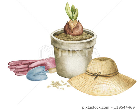 Watercolor composition with flower pot, sprouting bulb, gardening gloves, straw hat and seeds. Spring botanical illustration for stationery, wrapping paper and seasonal products. Watercolor composition with flower pot, sprouting bulb, gardening gloves, straw hat and seeds. Spring botanical illustration for stationery, wrapping paper and seasonal products. 139544469