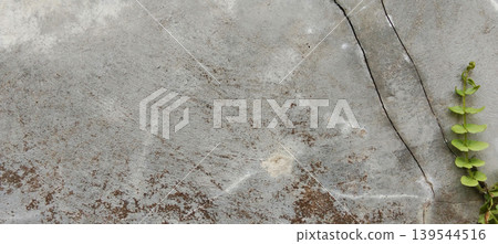 Cracked concrete wall texture with minimalist green plants. Cracked concrete wall texture with minimalist green plants. 139544516