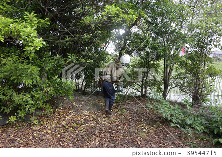 當地神社發生樹木砍伐事件 當地神社發生樹木砍伐事件 139544715