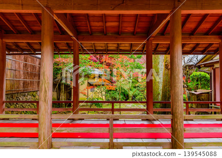 京都大原野神社：秋日後花園景色迷人，落葉如毯，還有傳統的有頂走廊。 139545088
