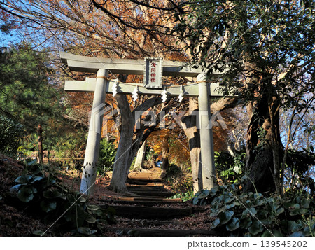 神奈川縣中郡二宮町東山公園、淺間神社 神奈川縣中郡二宮町東山公園、淺間神社 139545202